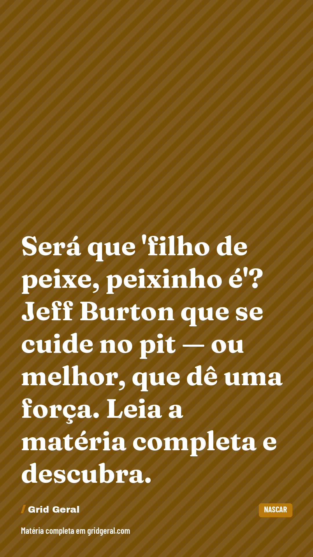 Card 3 de 3
