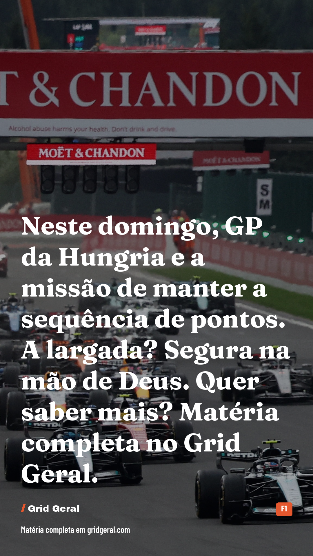 Card 5 de 5