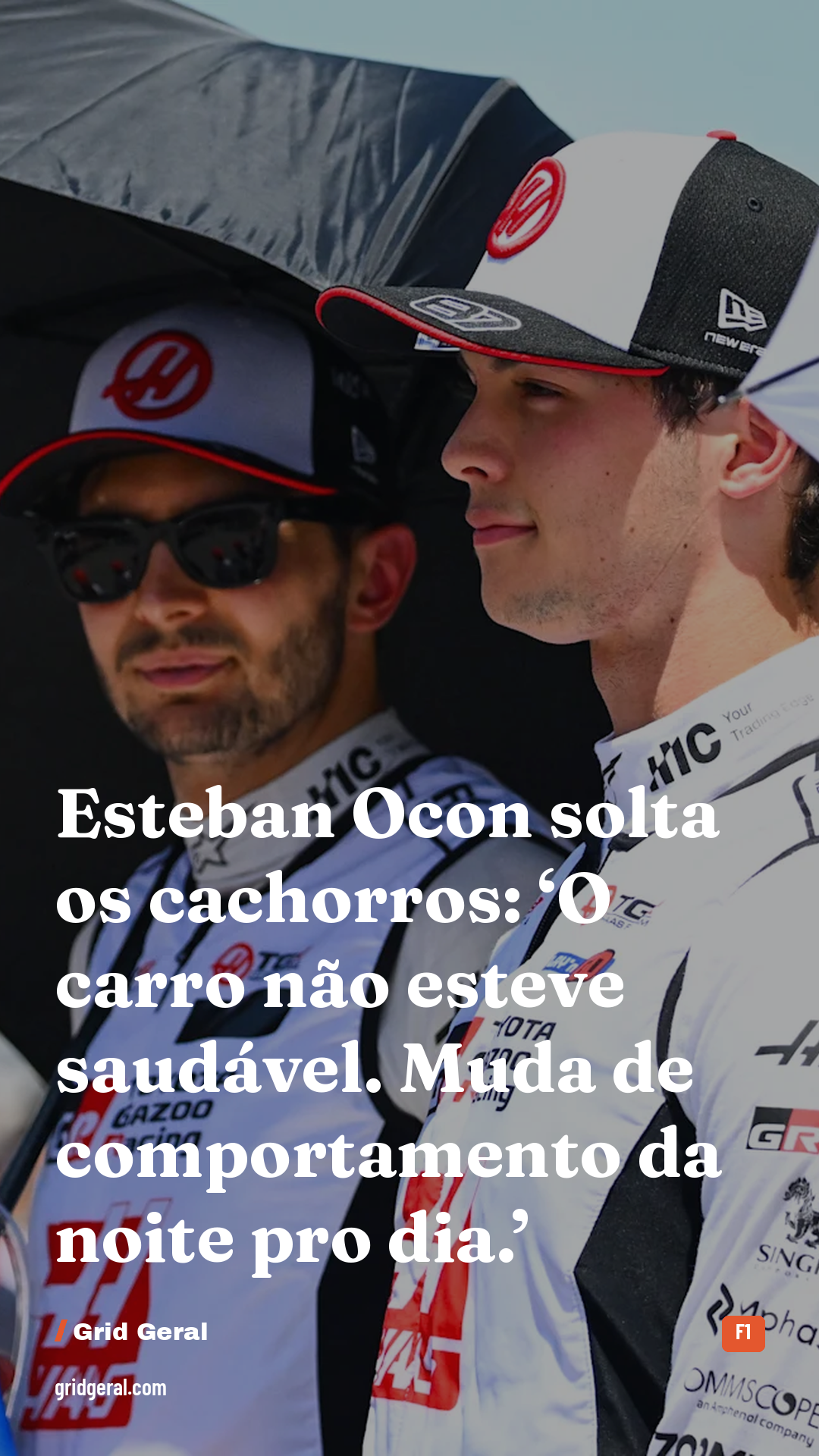 Card 2 de 3