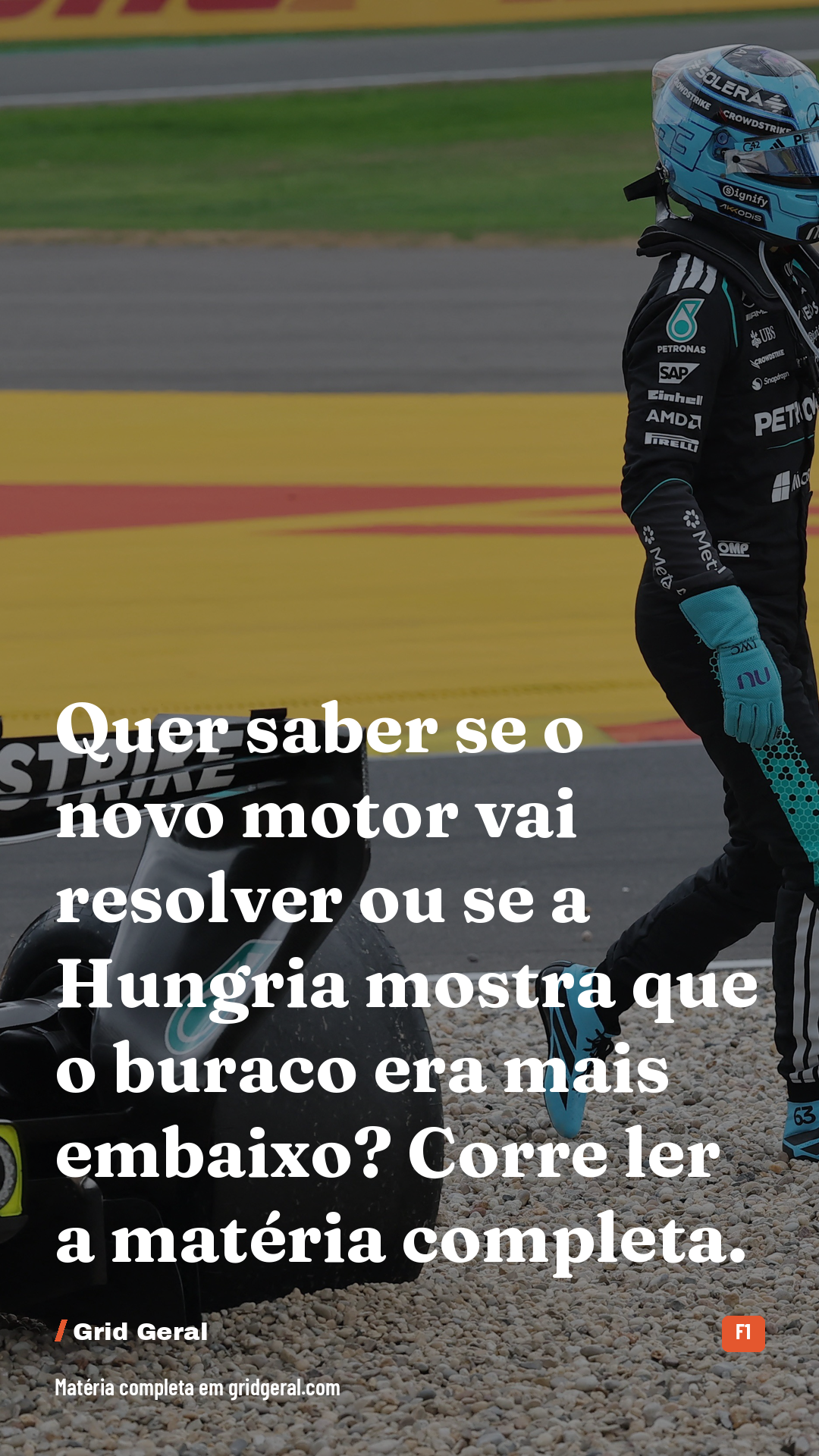 Card 5 de 5
