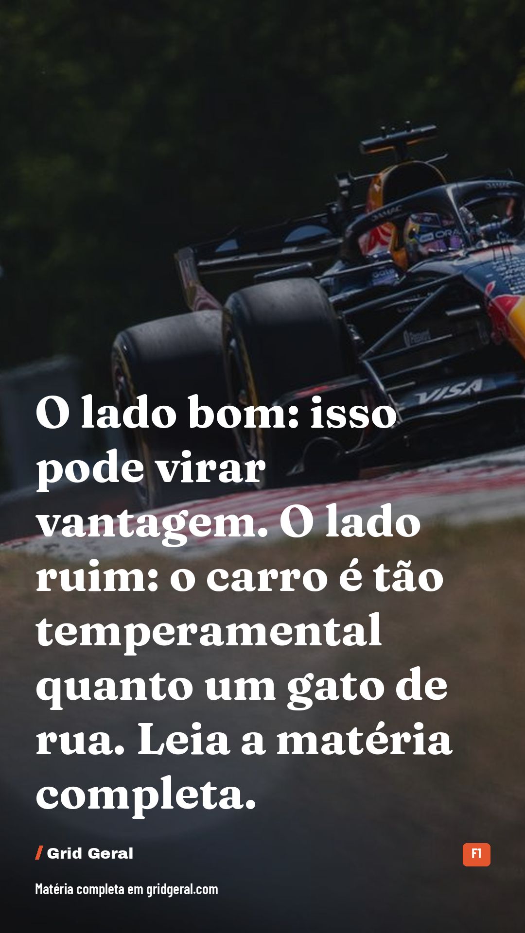 Card 4 de 4