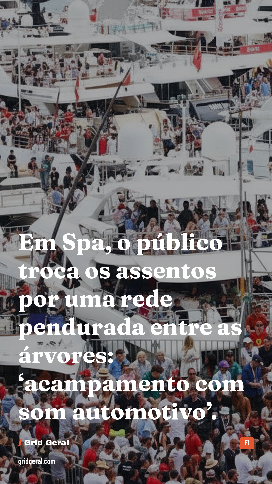 Card 4 de 5