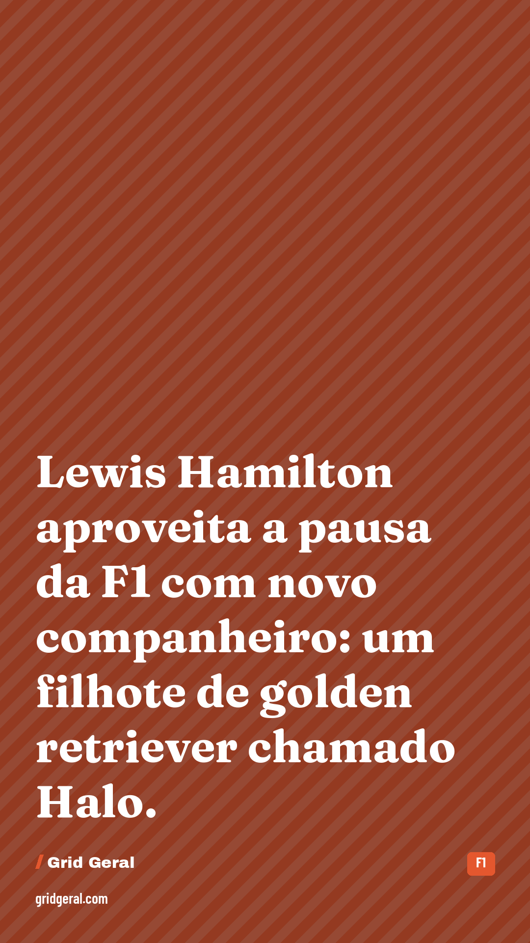 Card 1 de 4