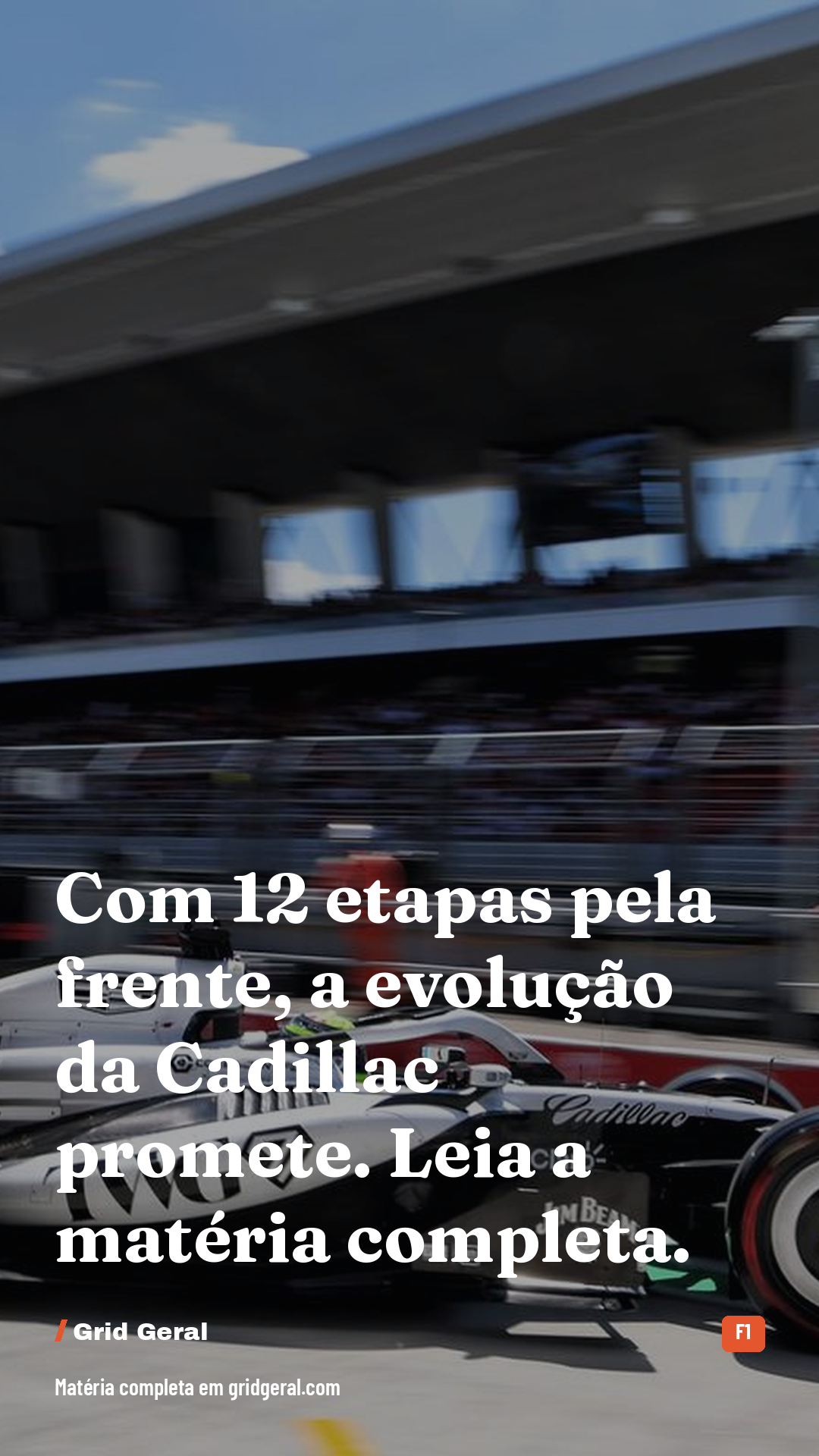 Card 5 de 5