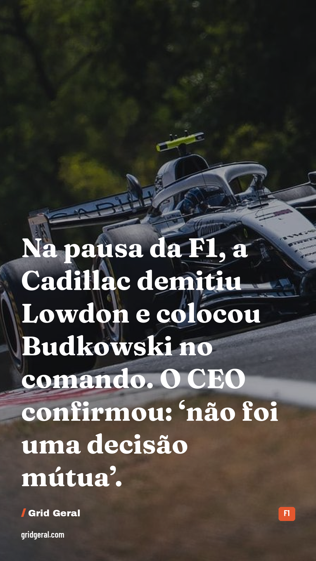 Card 1 de 4