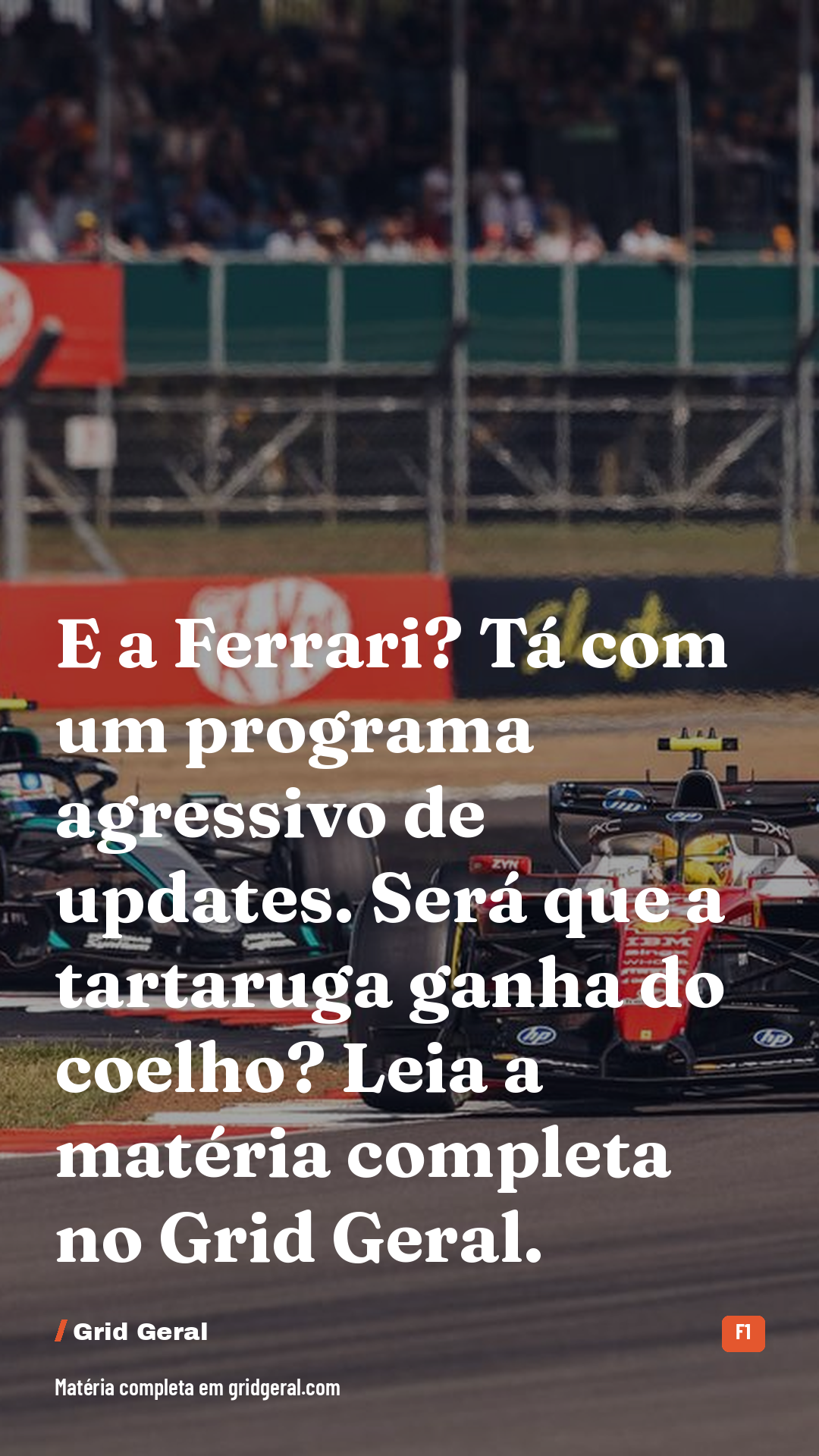 Card 5 de 5