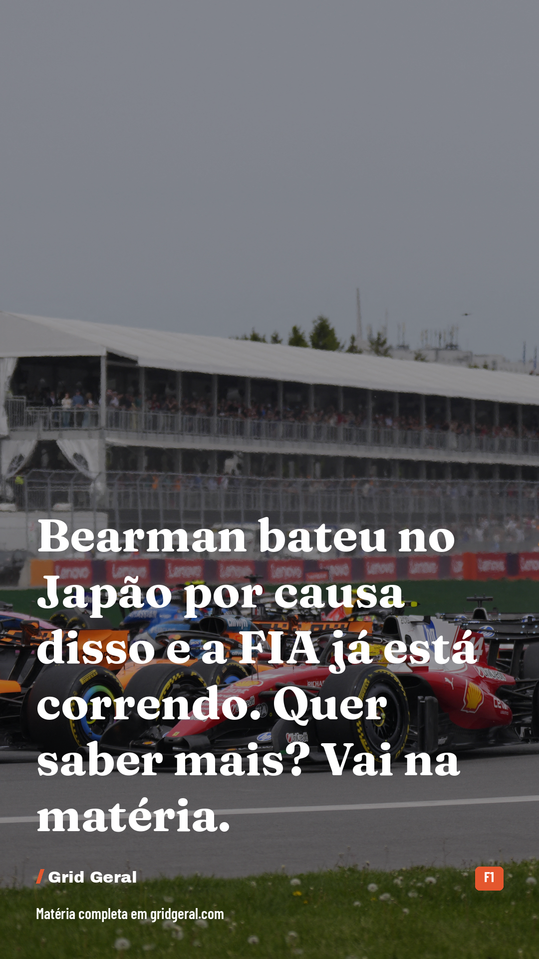 Card 5 de 5