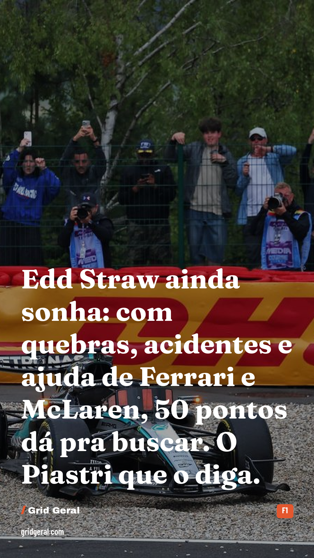 Card 4 de 5