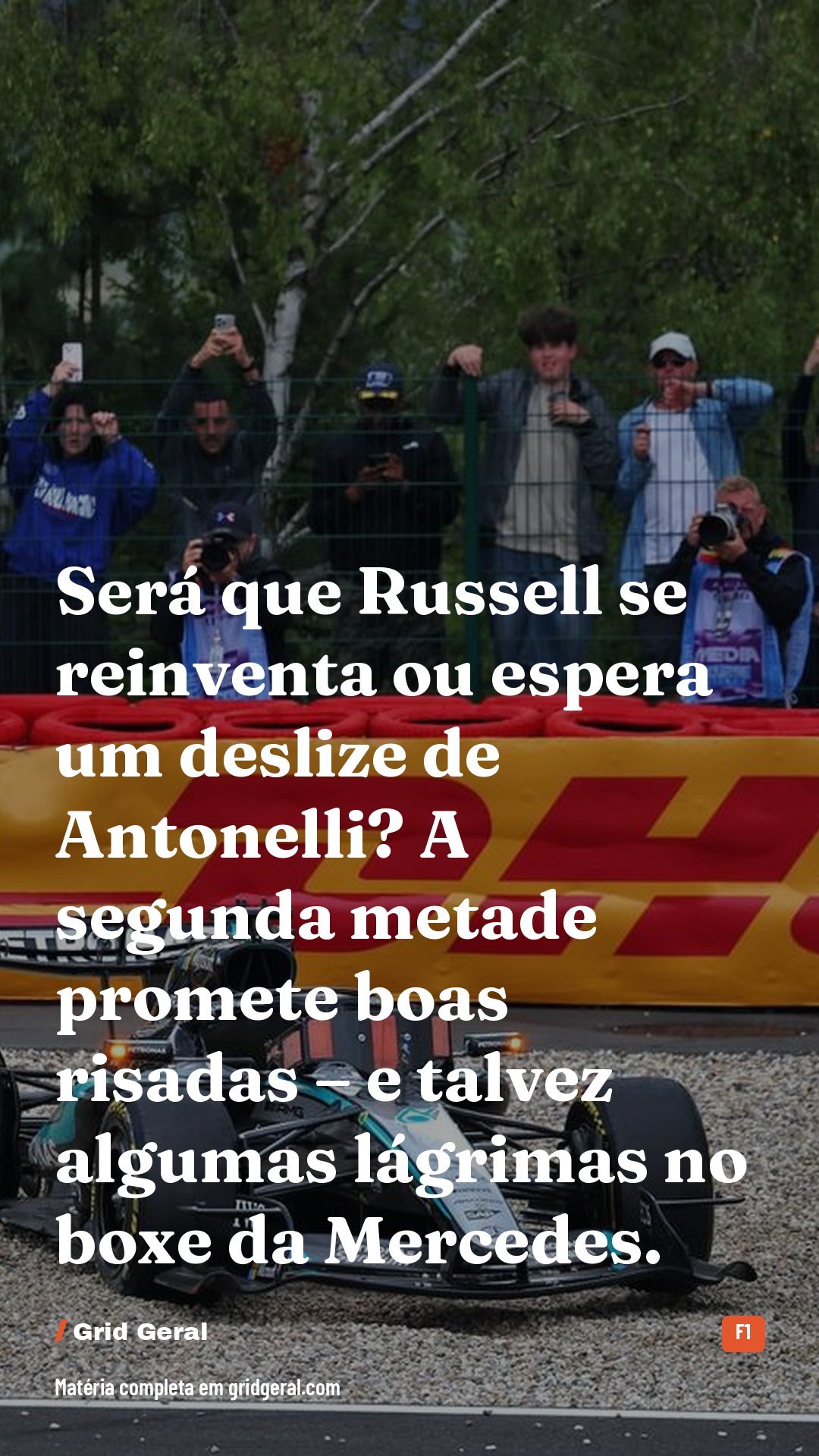 Card 5 de 5